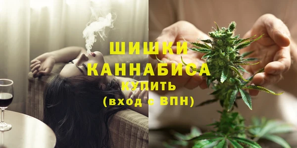 гидра Богданович