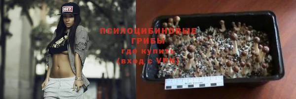 гидра Богданович