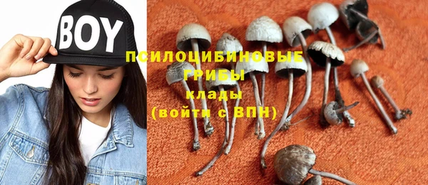 стафф Белокуриха