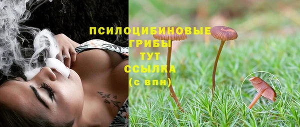 стафф Белокуриха