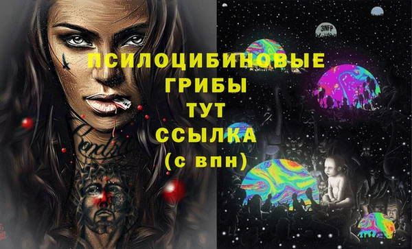 apvp Богородск